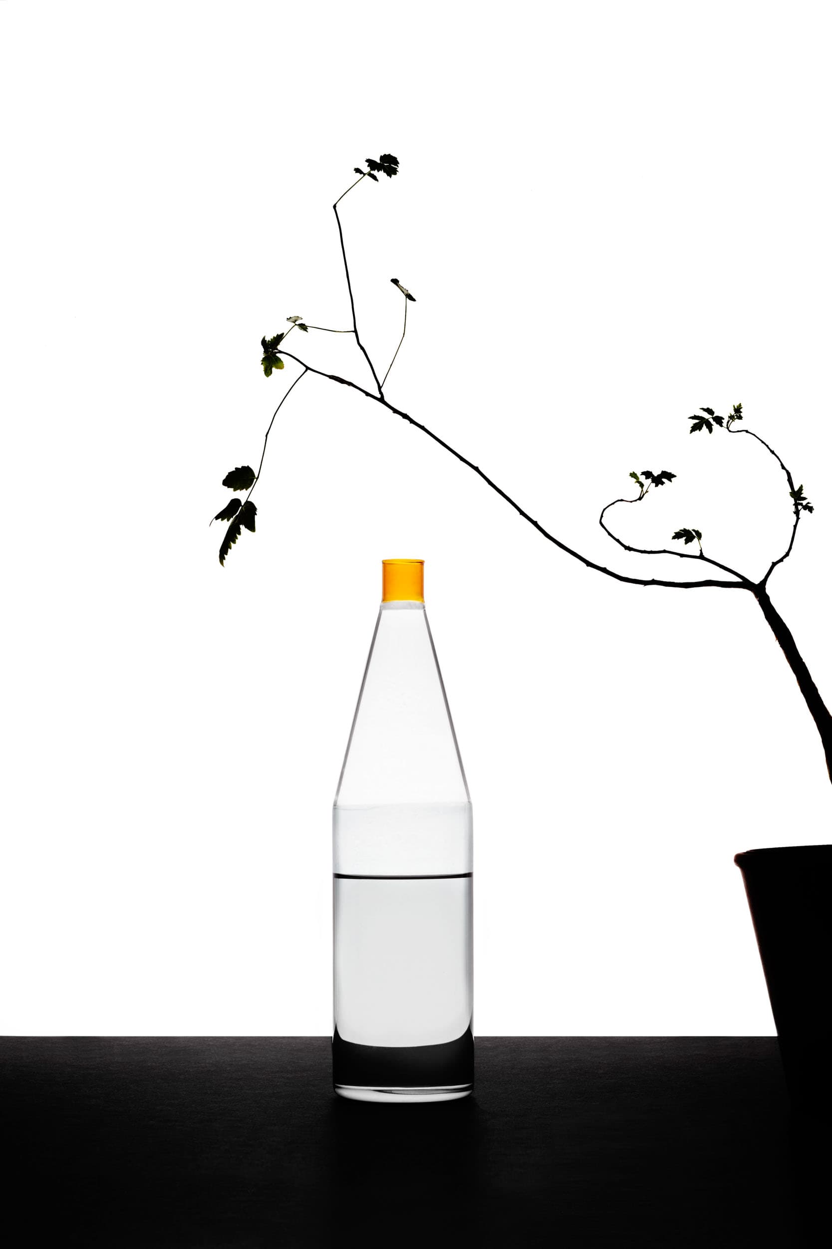 Tequila Sunrise Bottle by Studio Mist-o